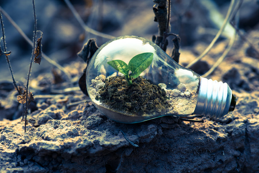 Can remote work be an ally for a greener planet?